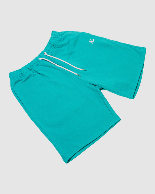 Comfy Skydream Shorts